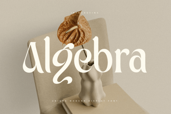 Algebra: The Serif Font That Elevates Your Brand