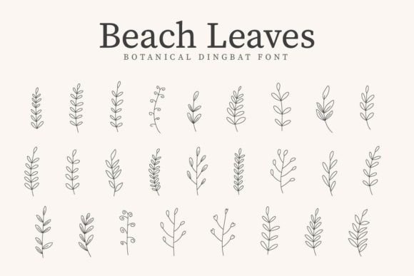 Beach Leaves: A Delightful Font for Digital Design