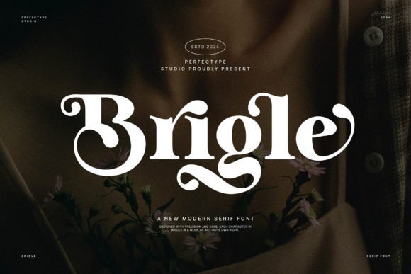 Brigle: A Serif Font That Elevates Digital Branding