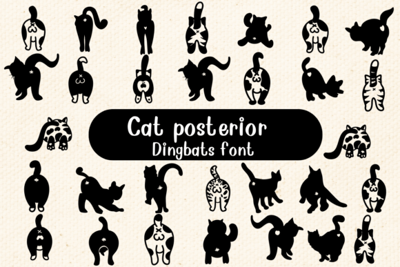 Cat Posterior