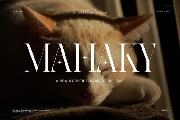 Choosing the Right Font: Mahaky for a Polished Digital Brand