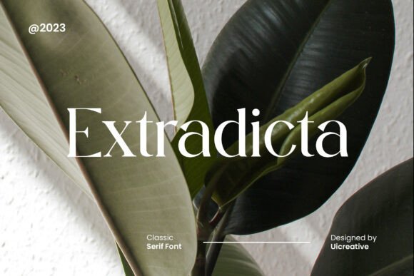 Extradicta: A Serif Font for Digital Branding and Web Design