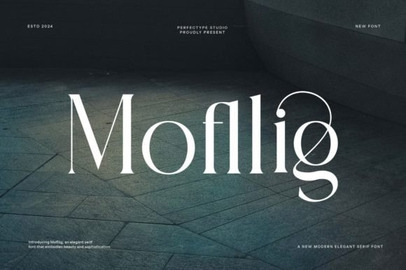 Font Choice That Matters: How Mofllig Elevates Your Campaigns