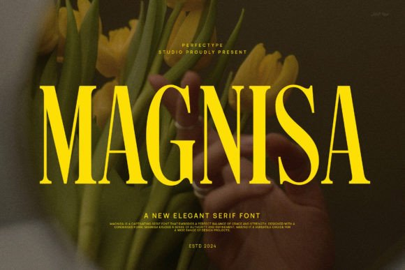 How Magnisa Elevates Your Brand’s Visual Identity