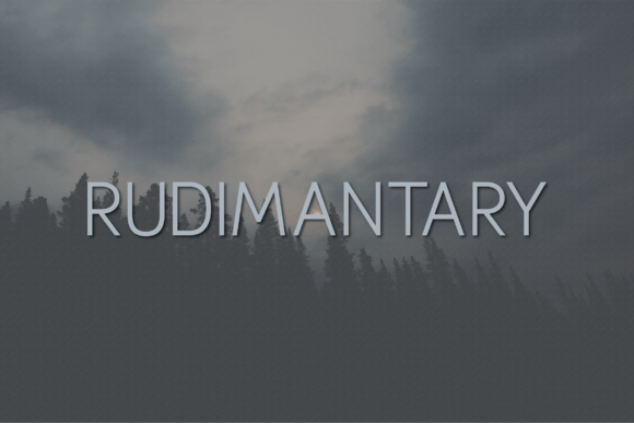Rudimantary: The Font That Elevates Your Brand
