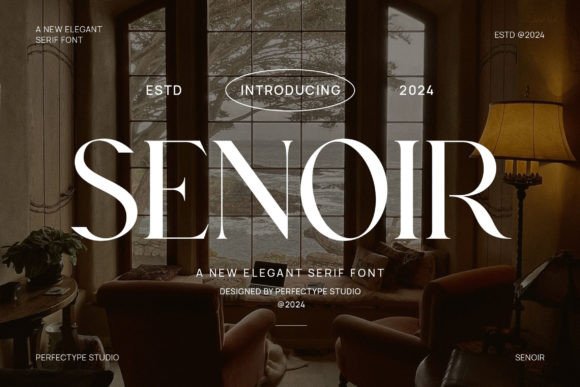 Senoir: A Serif Font for Editorial Elegance